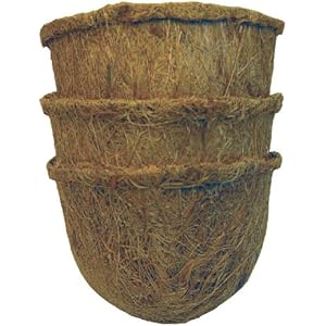 Namiba Terra 0481 Hanging Coco Basket 3 Kokosfaser Hängetöpfe medium, 3-er Set, 9/7 cm