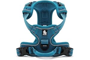 Vivi Bear Uprząż dla psa bez ciągnięcia, outdoorowa przygoda, 3M, odblaskowa, miękka, wyściełana, wytrzymała kamizelka dla zwierząt domowych z uchwytem, regulowana, nylonowa, do treningu i chodzenia, uprząż dla zwierząt domowych, rozmiar S, klatka piersiowa 43-53 cm, niebieska