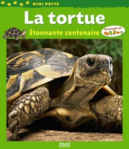 La  tortue : étonnante centenaire