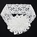 SWT Infants Toddlers Baby Girls Lace Headband wiht Flower for Age 0~5 --- White