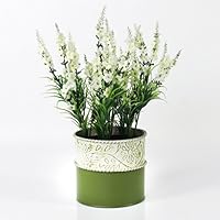 Suchergebnis auf Amazon.de für: Topfblume: Küche, Haushalt