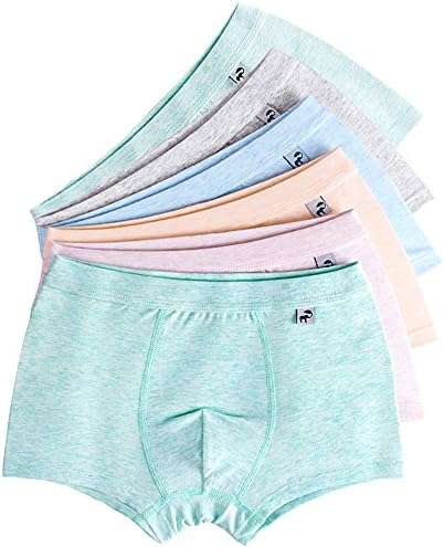 LeQeZe Boys Boxer Shorts 6 Pack Children Cotton Boxers Trunks Underwear for Kids Little Boy Gifts Size 2-11 Years (10-11 Years, Boys Pure 01)