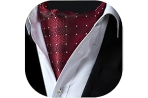 HISDERN Ascot Uomo Foulard Elegante Cravatta Ascots a Pois da Matrimonio