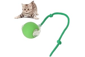 XUNNIU Nouveau Jouet pour Chat/Chien,Jouet Chat interactif,Jouet Chien Indestructible avec Queue, Boule Magique,Smart Roulante,Automatique Balle,avec Chargement USB,Green