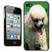 Produktbild Fancy A Snuggle Schutzhülle für Apple iPhone 4 / 4S mit Motiv weißer Pudel