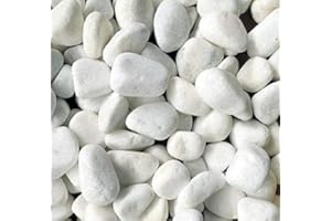Kelkay Premium Arctic White Marble Pebbles | 20-60mm | Pot Topper | Garden (1kg)