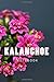 Produktbild Kalanchoe: 150 page lined notebook