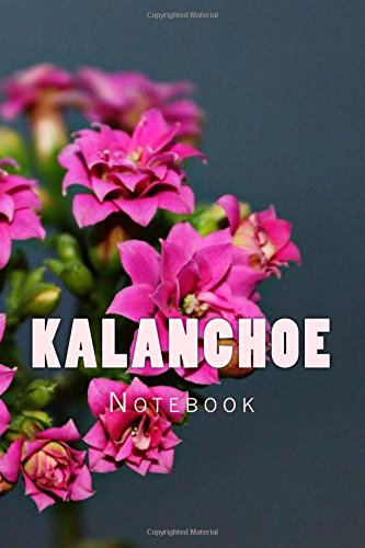Preisvergleich Produktbild Kalanchoe: 150 page lined notebook