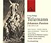 Produktbild Telemann: Johannes-Passion (1749) TWV 5:34