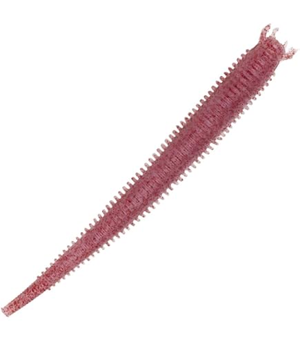 Berkley Gulp - Die 15 Besten Produkte Im Vergleich - Die Besten Angel