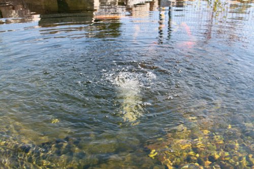 Esotec SOM Solar-Teichbelüfter - 2