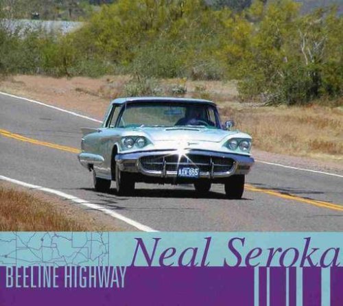 Preisvergleich Produktbild Beeline Highway by Neal Seroka