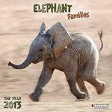 Elephant Families 2013 Wonderful World by