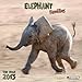 Elephant Families 2013 Wonderful World by