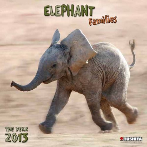 Elephant Families 2013 Wonderful World