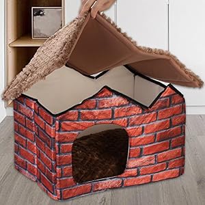Accessori per la casa sui Chihuahua
