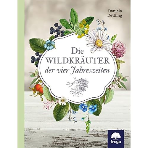 Die Wildkräuter der vier Jahreszeiten Die Wildkräuter der vier Jahreszeiten