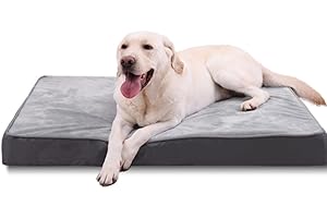 Jaspuriea Orthopädisches Hundebett Grosse Hunde mit Wasserdichtem Abnehmbarem Bezug, Rutschfestem Waschbar Hundebetten, Deluxe-Flanell Bequeme Hundekissen, Grau, 120x75x10 cm