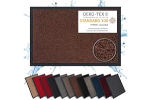 Carpet Diem Zerbino 40 x 60 cm - Tappeto ingresso antisporco - Interno ed Zerbino da Esterno, Tappetino antiscivolo per Porta, Tappeto antisporco per Porta d Ingresso - Marrone