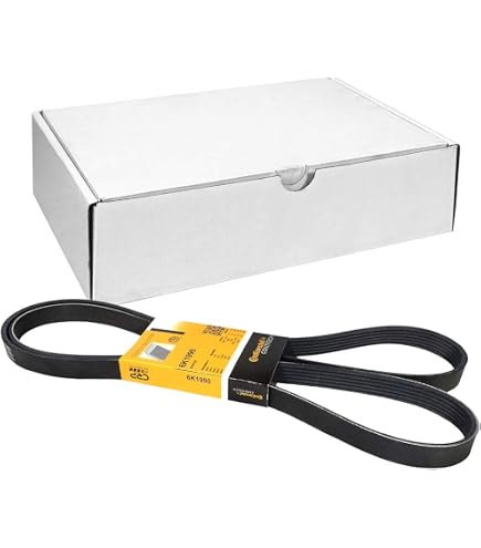 FEBI BILSTEIN 02248 Galoppino/Guidacinghia, Cinghia Poly-V