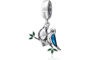 YIRONG JEWELRY Breloque en argent sterling 925 en forme de cœur pour bracelet Pandora (A)