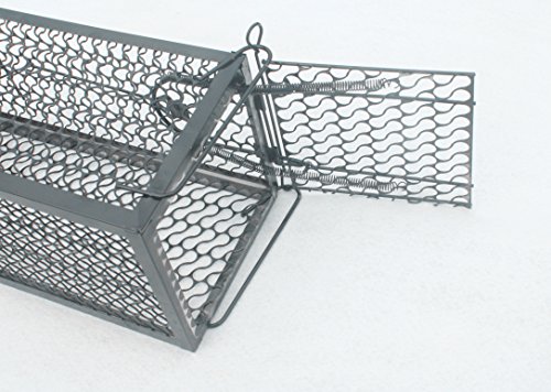 WARKHOME Mausefalle Kastenfalle 24×11.5×11.5 cm (LxBxH) Falle Tierfalle - 2