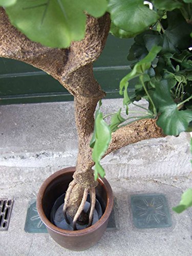 Künstlicher Ginkgobaum, 1,60m 
