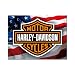 Produktbild Nostalgic-Art 14226 Harley-Davidson - USA Logo, Magnet 8x6 cm