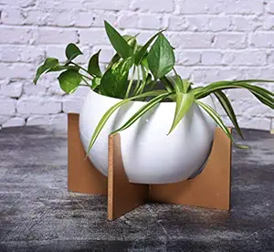 HINS White Round Shape Metal Pot With Brown Wooden Stand For Indoor Gardening Metal Pots For Indoor Plants I Elevated Garden Planter I Raised Planter I Desk Plant I Raised Planter Box I Ascent Homes Metal Planter I Raised Planter Box With Legs I Brass Pots For Indoor Plants I Golden Planter I Mid Century Plant Stand I Brass Planters For Indoor Plants I Indoor Plant Stand For Living Room I Metal Planters Pot For Indoor Plants designer pots for indoor plants
