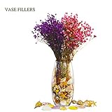 Jangostor 100pcs Muscheln Gemischt Ozean Strand Muscheln Seestern