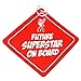 Produktbild Liverpool FC Offizielles Future Superstar Fußball Wappen Baby on Bord Autoschild - Rot, One size