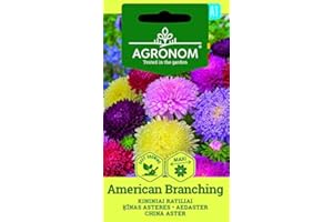 AGRONOM TESTED IN THE GARDEN AGRONOM | ASTER DE CHINA AMERICAN BRANCHING semillas | Semillas de flores | Semillas de plantas | 1 paquete