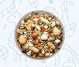 Birddy Seeds Hand Clean High Protein Seed Mix for African Grey, Macaw, Cockatoo, Indian Parrot and Other Big Birds Food ( 1kg )