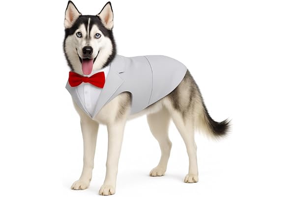 Dog Tuxedo Suit with Bandana Formal Wedding & Party Pet Outfit Adjustable Puppy Costume for Golden Retriever, Labrador, Small to Large Dogs Elegant & Comfortable Dog Clothes (GEY, XL)