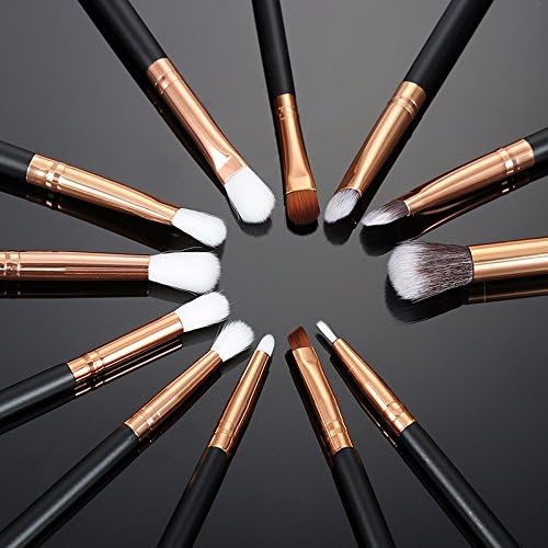 12 Pcs Professional Makeup Brushes Set for Eyeshadow Foundadtion Eyeliner Lips and More (Black)