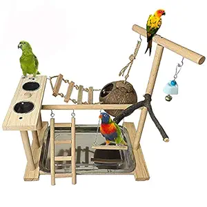 Parrots Playground Bird Play Gym Pet Birds Perch Stand a Tray with Swing Climbling Ladders, Chewing Toy, Parakeet Nest Box, Feeding Cups, Exercise Activity Center for Conure Cockatiel Lovebirds