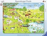 ab 4 Jahre Ravensburger 06145 Spaziergang auf dem Land