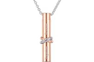 HooAMI Cremation Urn Necklace Together Forever Stainless Steel Memorial Keepsake Cylinder Pendant for Ashes