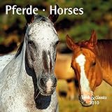 Pferde - T & C-Kalender 2010 by