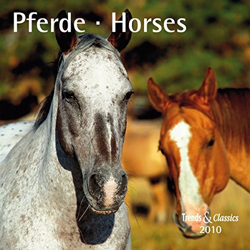 Pferde - T & C-Kalender 2010