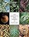 Les bienfaits des arbres: Reconnaître, récolter, cuisiner et se soigner by 