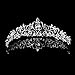 Wedding Bridal/Bridesmaid Floral Rhinestone Tiara Crown 11.42"