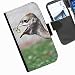 Produktbild Hairyworm- Vögel Alcatel Pop C3 (4033A, 4033X, 4033D, 4033E) Leder Klapphülle Etui Handy Tasche, Deckel mit Kartenfächern, Geldscheinfach und Magnetverschluss.