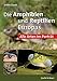 Die Amphibien und Reptilien Europas: Alle Arten im Porträt by 