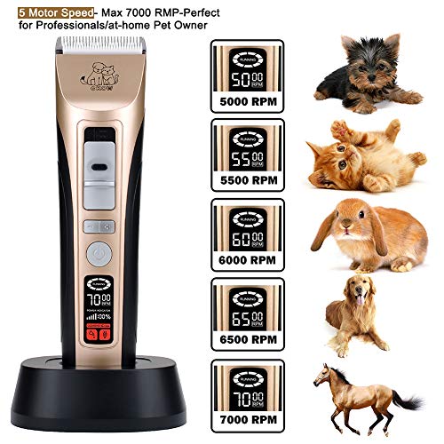 Tondeuse-Chien-Chat-5-Vitesses-Tondeuse-pour-Chien-Professionnelsla-Faible-Bruit-sans-Fil-Un-cran-LCD-Ultra-Haute-Dfinition-lectrique-Tondeuses-de-Toilettage-Animaux-pour-Chiens-Chats