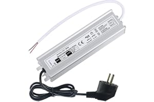 Youngine 60W Impermeabile IP67 Trasformatore del driver dell'alimentatore a LED, Uscita a bassa tensione da 100 V-265 V CA a 12 V CC con spina per uso esterno con luce a LED, cavo da 3,3 piedi