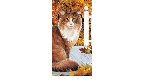 Chat Maine Coon Ou D Anniversaire Carte De Vœux Par Chrissie Snelling Amazon Fr Fournitures De Bureau