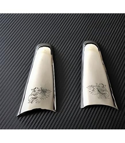 Accessori In Acciaio Inox Per Camion SCANIA - Cornici Per Fari, Design Resistente E Di Qualità - Foto 7