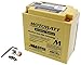 Produktbild Batterie MOTOBATT für Suzuki VX 800 VS51B 1996-1997 [inkl. 7.50 Euro Batteriepfand]