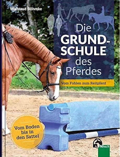 Die Grundschule Des Pferdes Vom Boden In Den Sattel Vom Fohlen Zum Reitpferd Amazon De Waltraut Bohmke Bucher